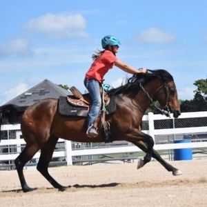 Meet your Posher, Stella